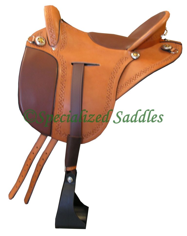 International Saddle