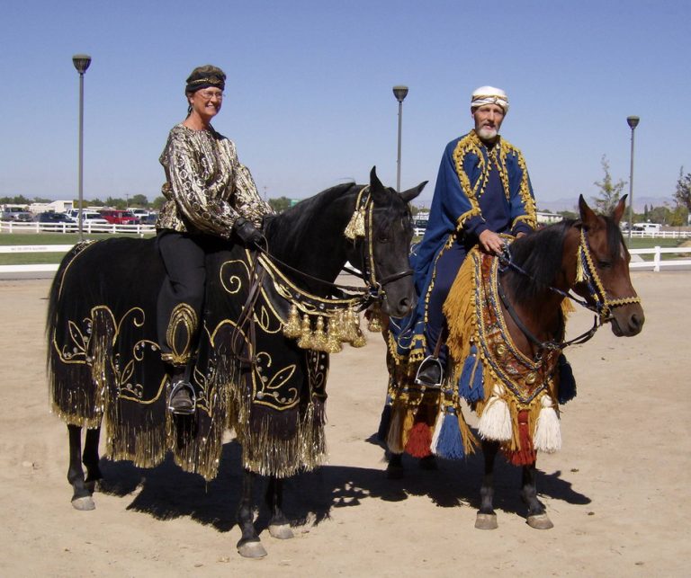 Sharon Roper - Specialized Saddles: Endurance & Trail Riding Saddles