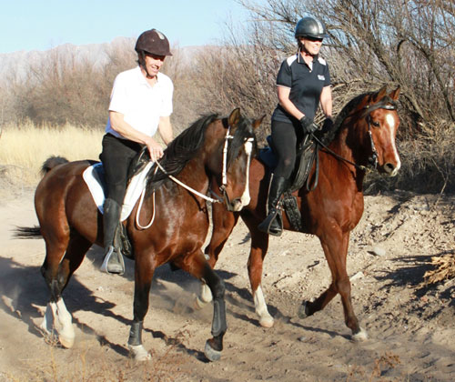 David on Ari, and his wife Tracy ride on their training trails at their New Mexico farm, flightleader.com