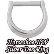 Horse Shoe Silver Accent