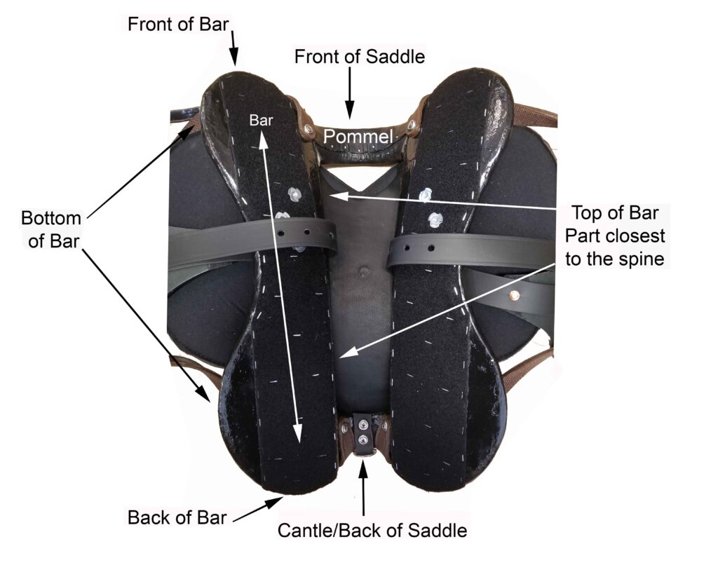 Key parts to focus on when measuring a Specialized Saddle.