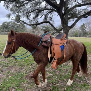 Julie Acosta reviews the Featherweight Trail/ Classic Western 2