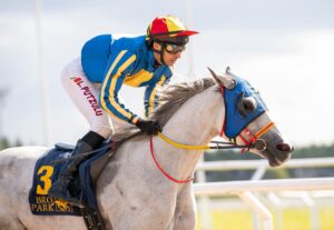 Arabian race horse paddys way owned by david kaden and tracy webb