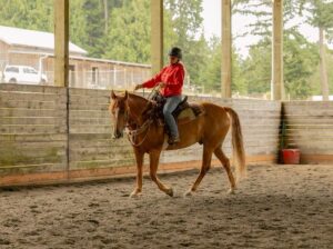 Paula Lawerence reviews the Featherweight trail 