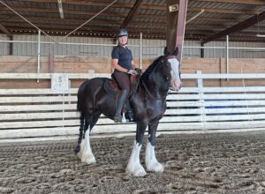 Stacy Sutton's Testimonial for her Texas Wade