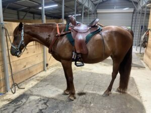 Featherweight Trail Review