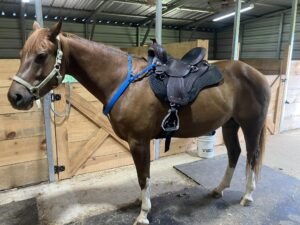 Featherweight Trail Review