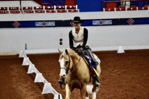 Western Dressage saddle fit 1