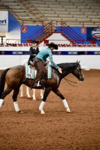 Western Dressage saddle fit 2