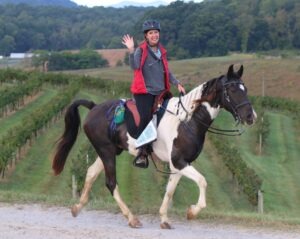 Best Endurance Saddle: 7 Reasons Beau’s National Championships Prove the Perfect Fit