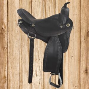 Western Dressage 17"